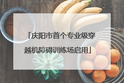 庆阳市首个专业级穿越机障碍训练场启用