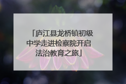 庐江县龙桥镇初级中学走进检察院开启法治教育之旅