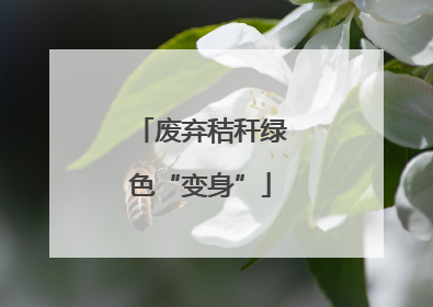 废弃秸秆绿色“变身”