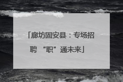 廊坊固安县：专场招聘 “职”通未来
