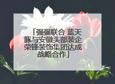 强强联合 蓝天豚与安徽头部装企荣锋装饰集团达成战略合作