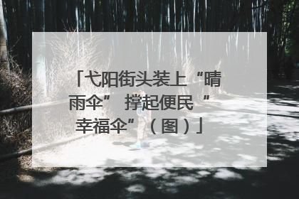 弋阳街头装上“晴雨伞” 撑起便民“幸福伞”（图）