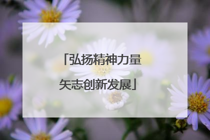 弘扬精神力量 矢志创新发展
