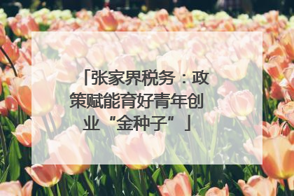 张家界税务：政策赋能育好青年创业“金种子”