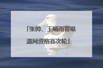 张帅、王曦雨晋级温网资格赛次轮