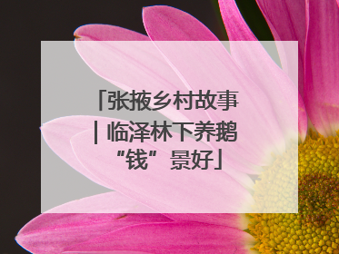 张掖乡村故事｜临泽林下养鹅“钱”景好
