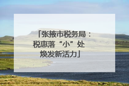 张掖市税务局：税惠落“小”处 焕发新活力
