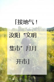接地气！汝阳“文明集市”月月开市