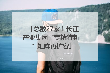 总数27家！长江产业集团“专精特新”矩阵再扩容