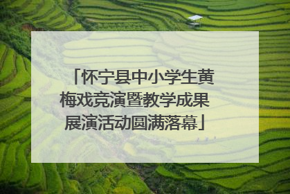 怀宁县中小学生黄梅戏竞演暨教学成果展演活动圆满落幕