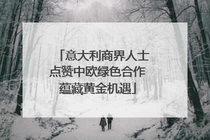 意大利商界人士点赞中欧绿色合作蕴藏黄金机遇