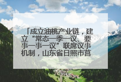 成立油桃产业链，建立“常态一季一议、要事一事一议”联席议事机制，山东省日照市莒县果庄镇——13个党小组“全周期”育果