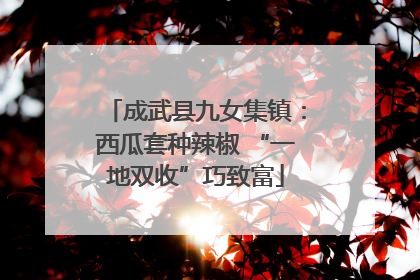 成武县九女集镇：西瓜套种辣椒 “一地双收”巧致富
