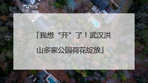 我想“开”了！武汉洪山多家公园荷花绽放