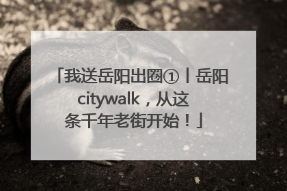 我送岳阳出圈①丨岳阳citywalk，从这条千年老街开始！