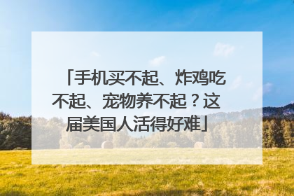 手机买不起、炸鸡吃不起、宠物养不起？这届美国人活得好难