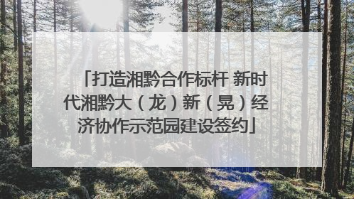打造湘黔合作标杆 新时代湘黔大（龙）新（晃）经济协作示范园建设签约