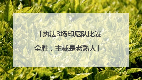 执法3场印尼队比赛全胜，主裁是老熟人