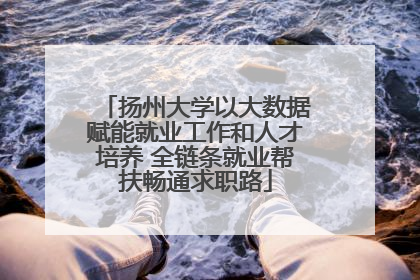 扬州大学以大数据赋能就业工作和人才培养 全链条就业帮扶畅通求职路