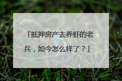抵押房产去养虾的老兵，如今怎么样了？