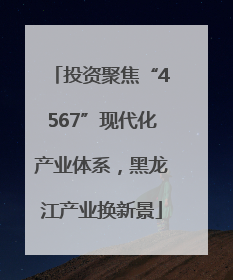 投资聚焦“4567”现代化产业体系，黑龙江产业换新景