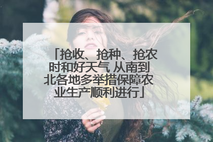 抢收、抢种、抢农时和好天气 从南到北各地多举措保障农业生产顺利进行