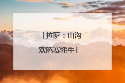 拉萨：山沟欢腾赛牦牛