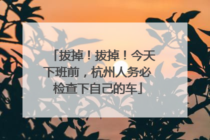 拔掉！拔掉！今天下班前，杭州人务必检查下自己的车