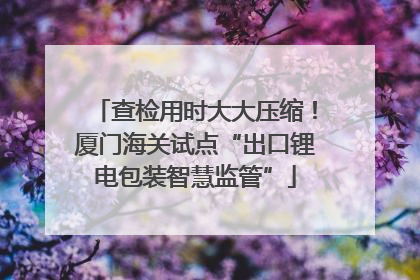 查检用时大大压缩！厦门海关试点“出口锂电包装智慧监管”