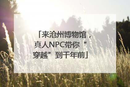 来沧州博物馆，真人NPC带你“穿越”到千年前