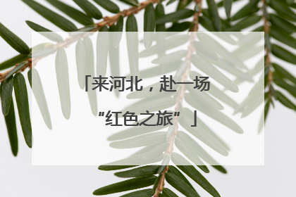 来河北，赴一场“红色之旅”