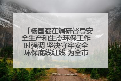 杨国强在调研督导安全生产和生态环保工作时强调 坚决守牢安全环保底线红线 为全市经济社会高质量发展提供坚强保障