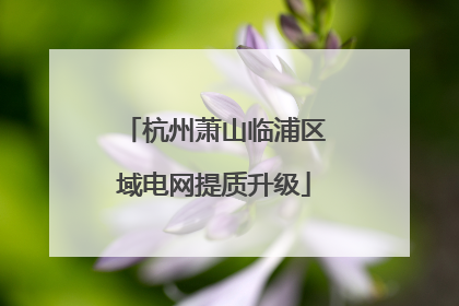 杭州萧山临浦区域电网提质升级