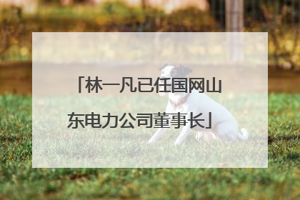 林一凡已任国网山东电力公司董事长