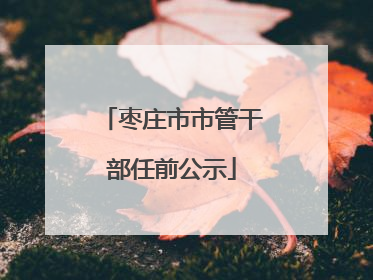 枣庄市市管干部任前公示