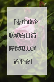 枣庄政企联动百日清障保电力通道平安