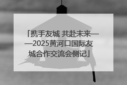 携手友城 共赴未来——2025黄河口国际友城合作交流会侧记