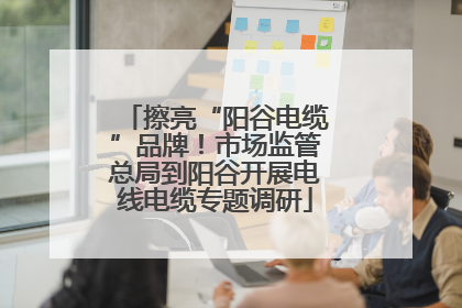 擦亮“阳谷电缆”品牌！市场监管总局到阳谷开展电线电缆专题调研
