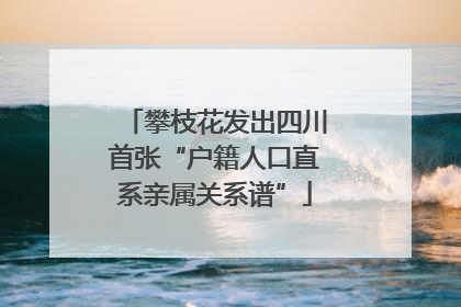 攀枝花发出四川首张“户籍人口直系亲属关系谱”