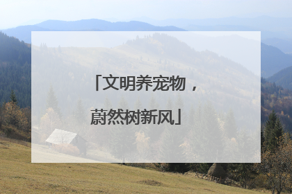 文明养宠物，蔚然树新风