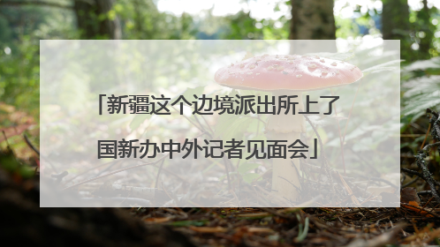 新疆这个边境派出所上了国新办中外记者见面会