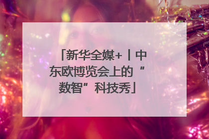 新华全媒+丨中东欧博览会上的“数智”科技秀