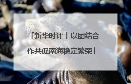 新华时评丨以团结合作共促南海稳定繁荣
