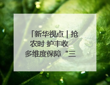新华视点｜抢农时 护丰收 多维度保障“三夏”生产
