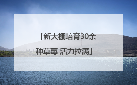 新大棚培育30余种草莓 活力拉满