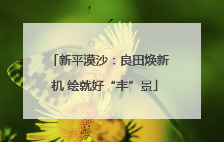 新平漠沙：良田焕新机 绘就好“丰”景