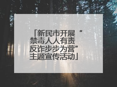 新民市开展“禁毒人人有责 反诈步步为营”主题宣传活动