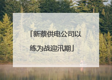 新蔡供电公司以练为战迎汛期
