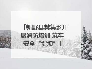 新野县樊集乡开展消防培训 筑牢安全“堤坝”