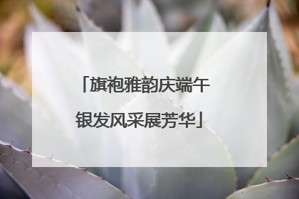 旗袍雅韵庆端午 银发风采展芳华